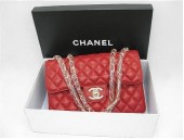 シャネル 新作＆送料込(CHANEL)  バッグA48220R