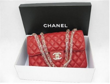 シャネル 新作＆送料込(CHANEL)  バッグA48220R